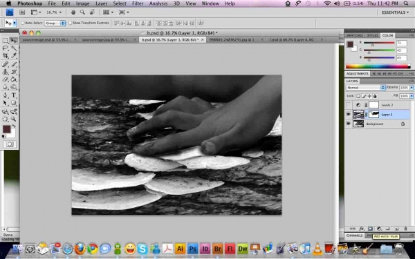 Creation of Painting: Step 5